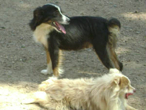 Squek02.JPG
