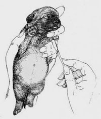 Image1.jpg