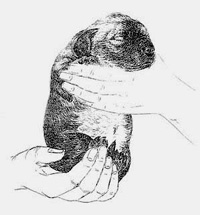Image2.jpg
