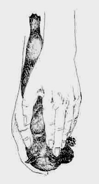 Image3.jpg