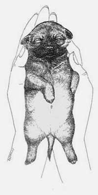 Image4.jpg