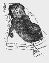 Image5.jpg