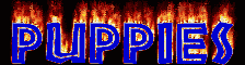 puppiesFlame.gif